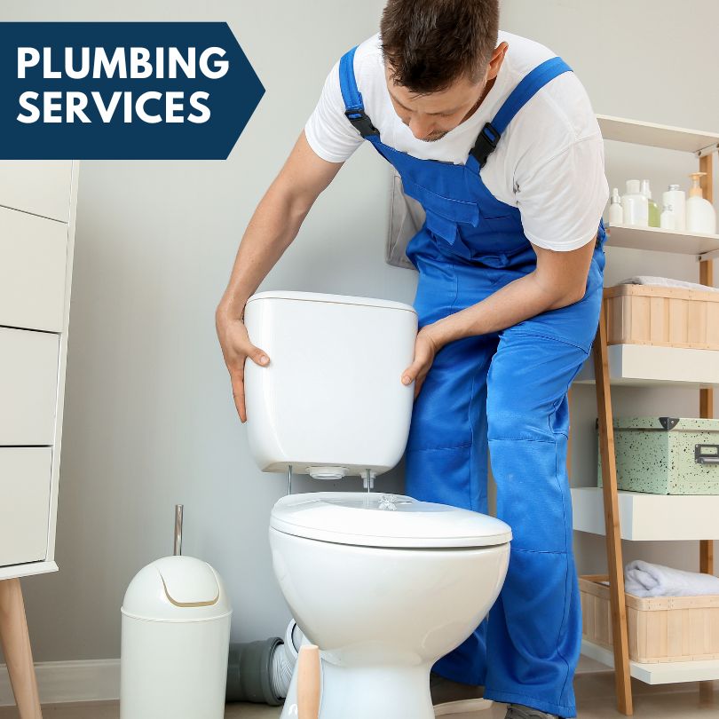 Plumbing Company in Maquoketa, IA